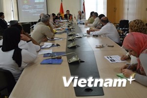 Thúc đẩy hợp tác thương mại Việt Nam - Ai Cập  - ảnh 1